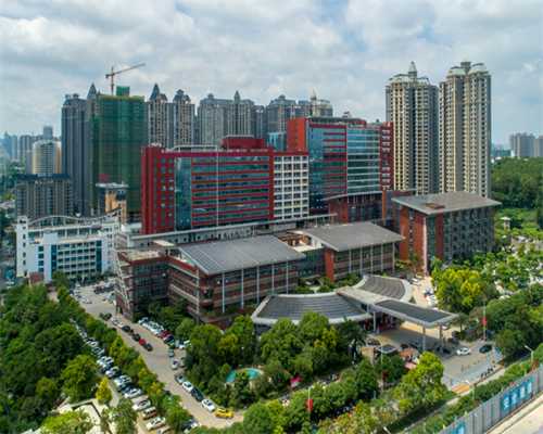 上海三代试管医院综合排名?,2023上海私立医院试管成功率预估?