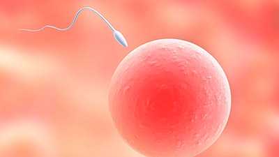 <b>试管婴儿：单身女性能否购买精子进行试管受孕？</b>